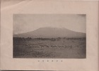 戦前の絵葉書　富士山　5